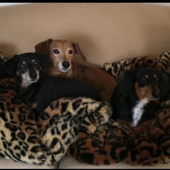 Meet your Posher, Lynne - Picture 3 of 3